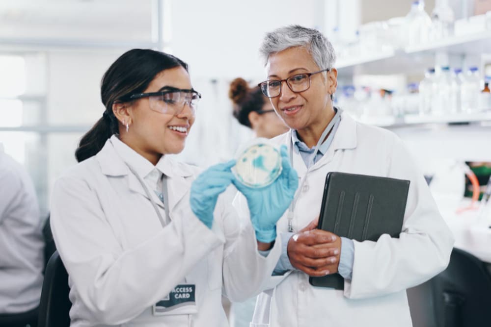 Como escolher o fornecedor ideal de Equipamentos de Laboratório