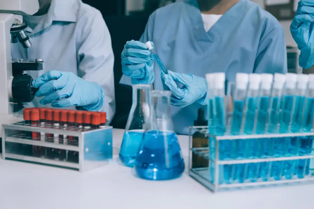 Equipamentos para Laboratório de Biologia: o que não pode faltar