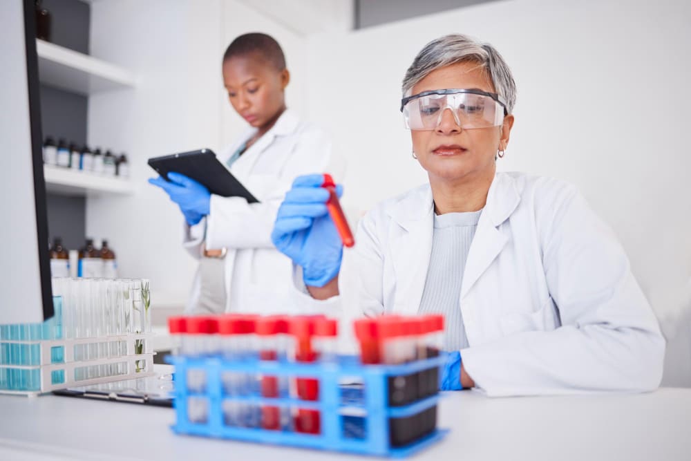 Itens de laboratório essenciais para biologia e química