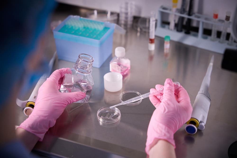 Onde comprar Utensílios de Laboratório com garantia e procedência